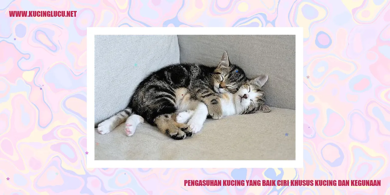Gambar Kucing Menggemaskan