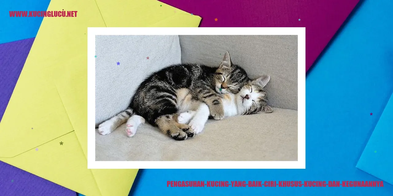 Gambar Kucing Menggemaskan