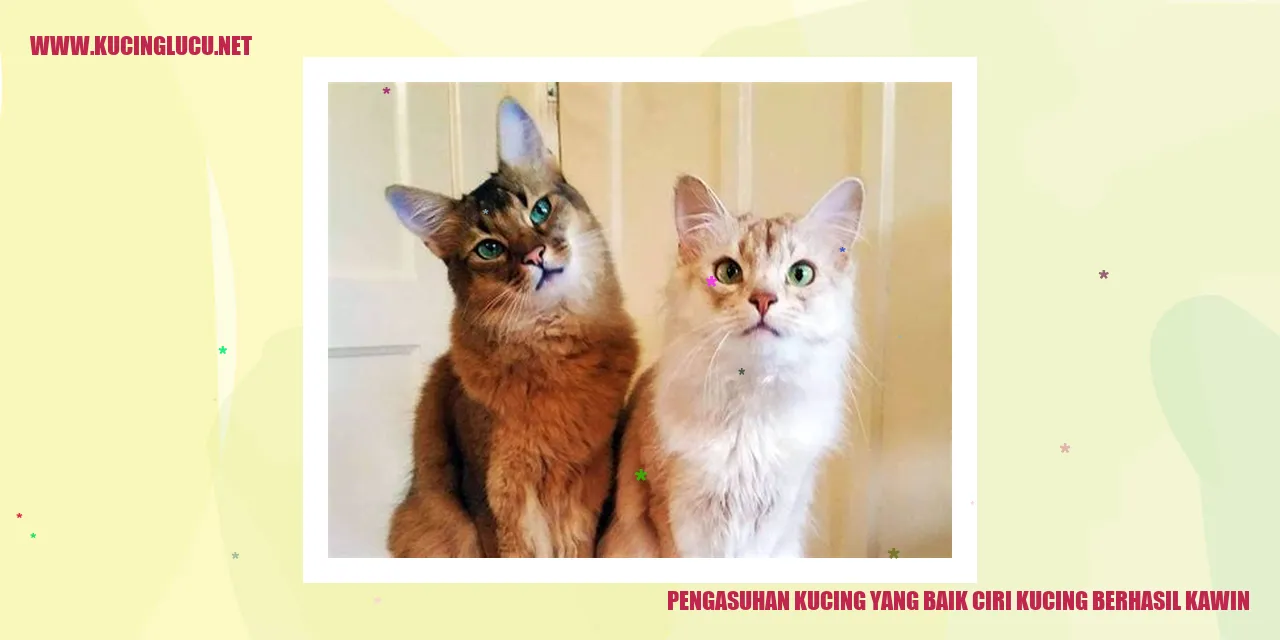 Kucing Berhasil Berkembang Biak