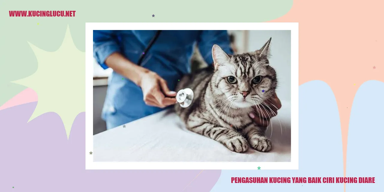 gambar kucing sehat