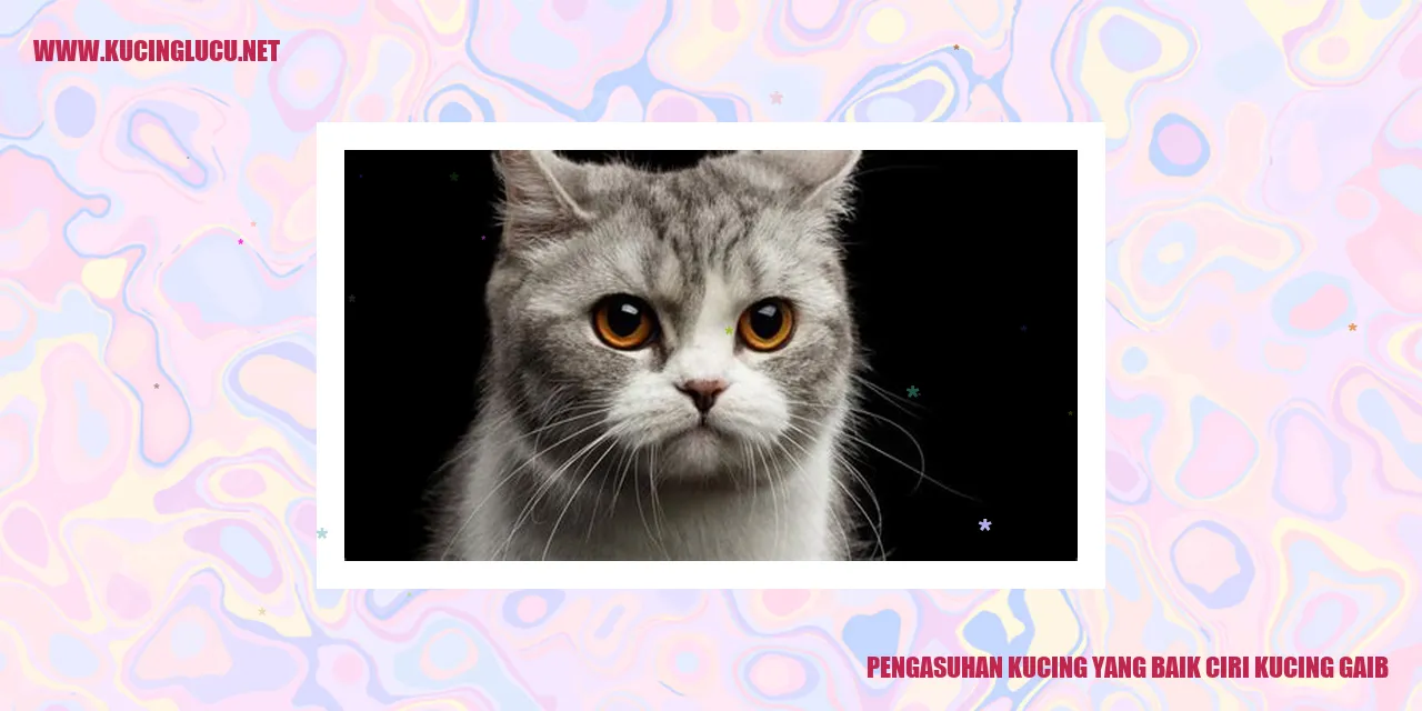 Pengasuhan Kucing yang Baik ciri kucing gaib