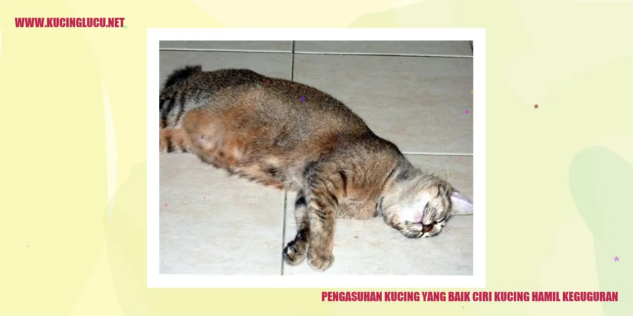 gambar kucing menggemaskan