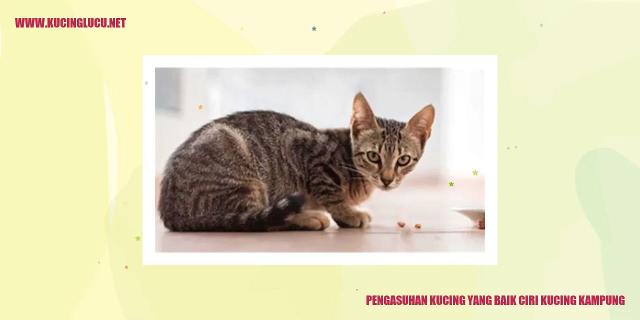 Pengasuhan Kucing yang Baik