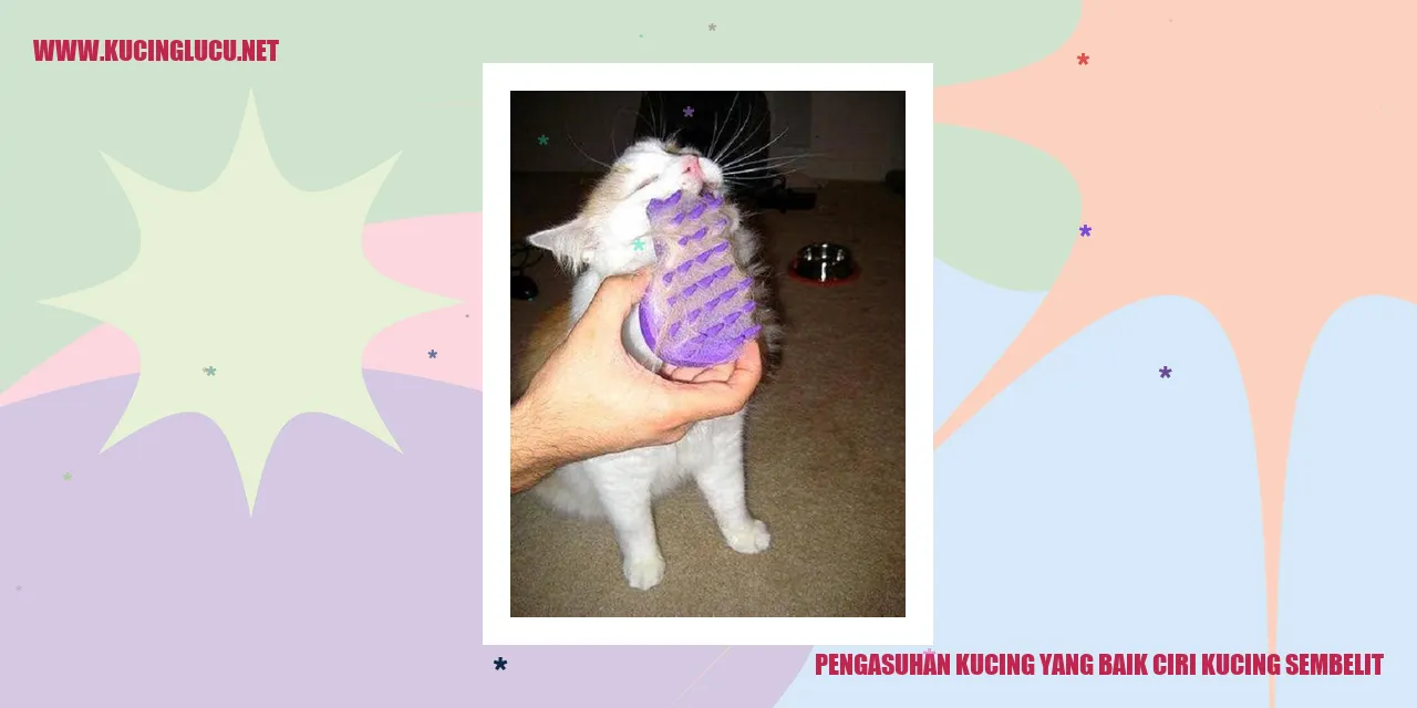 Tips Mengatasi Masalah Sembelit Pada Kucing