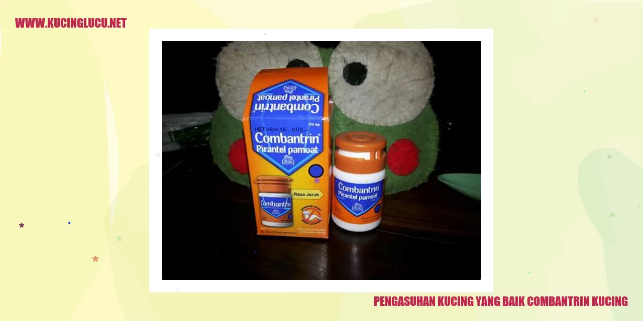 Perawatan Kucing yang Baik