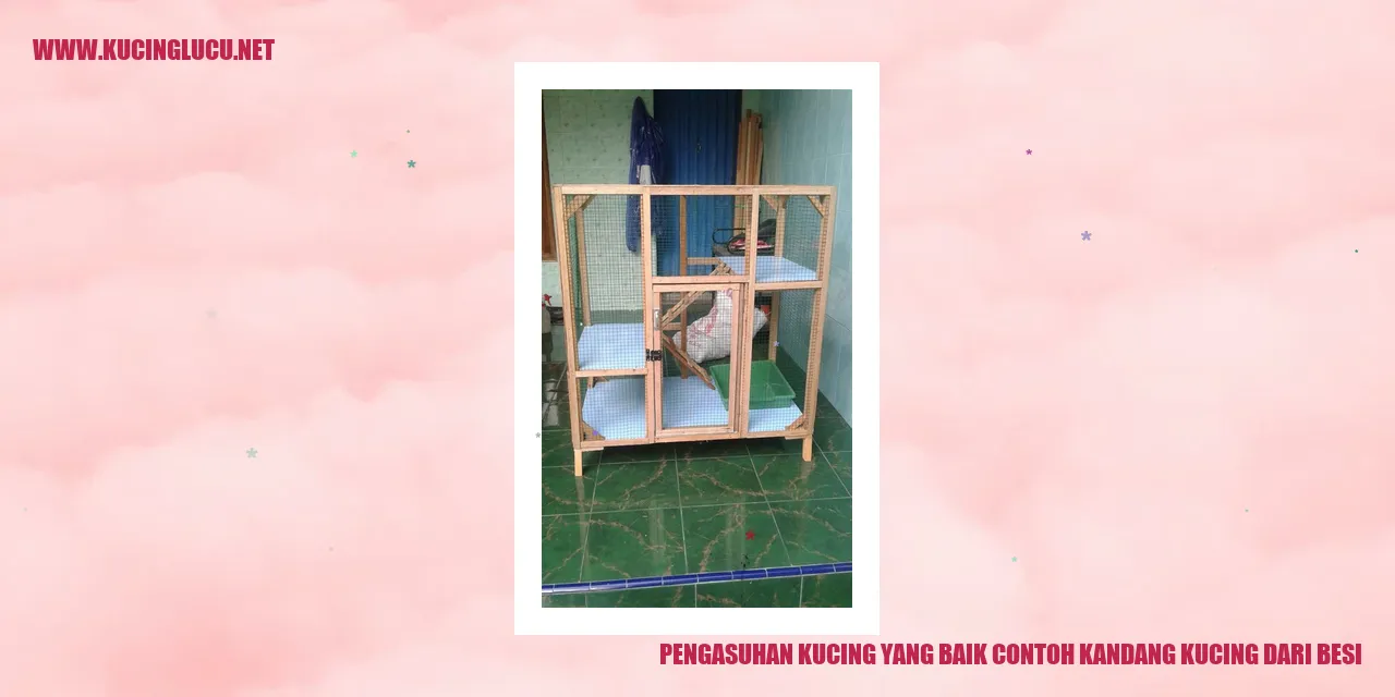 Kucing dalam Kandang Besi yang Nyaman