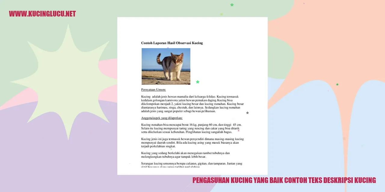 Pengasuhan Kucing yang Baik contoh teks deskripsi kucing