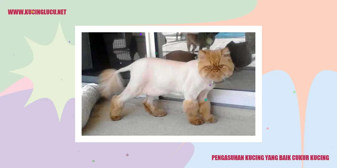Manfaat mencukur bulu kucing