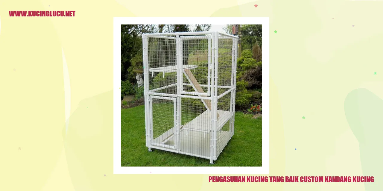 Pengasuhan Kucing yang Baik custom kandang kucing