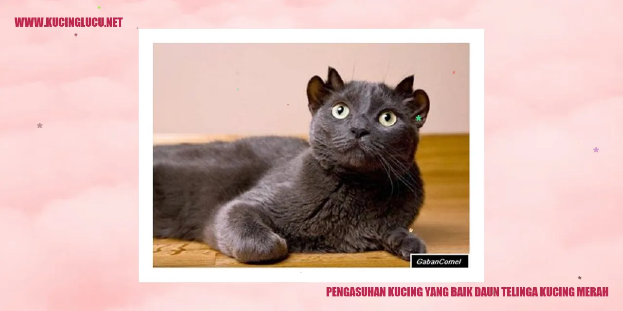 Gambar Kucing Merah dengan Daun Telinga