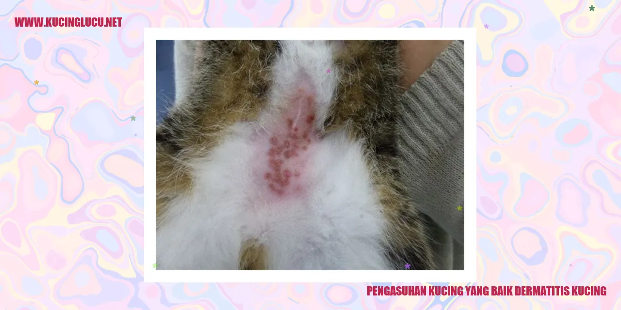 Kucing yang Sehat