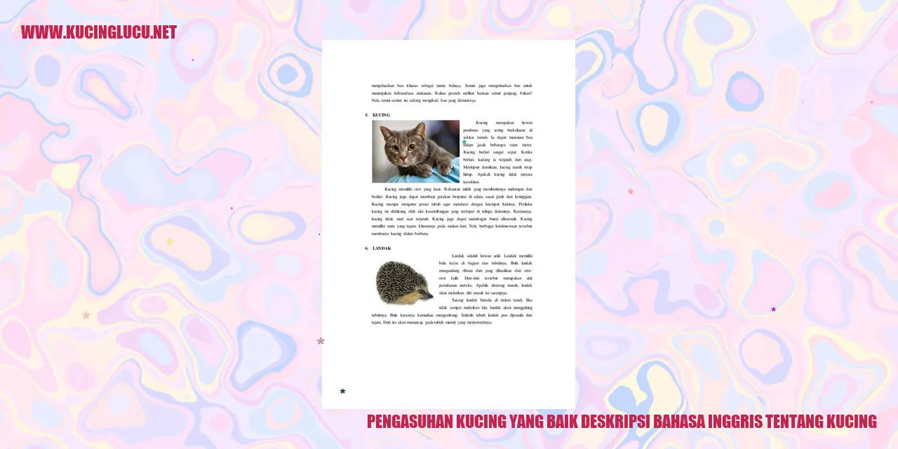 Deskripsi tentang pengasuhan kucing yang baik dalam bahasa Inggris