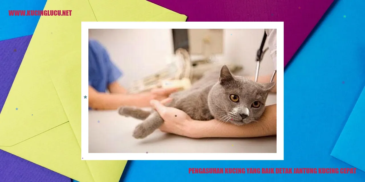 Kucing yang Sehat