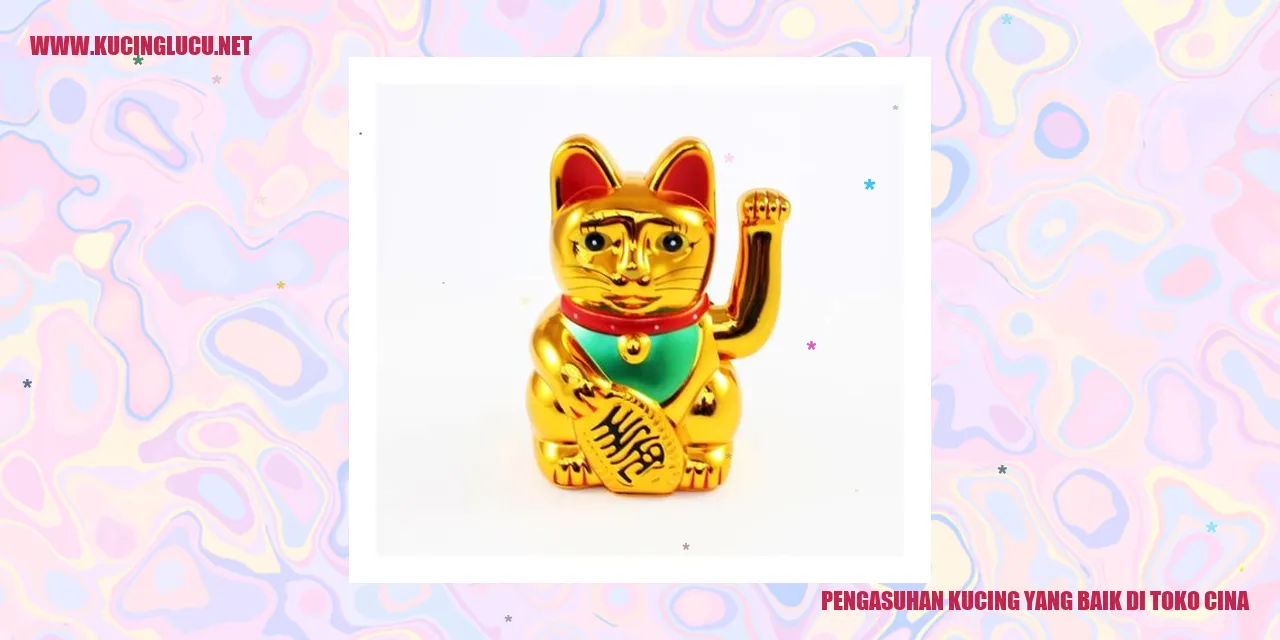 Kucing bahagia di peternakan cina