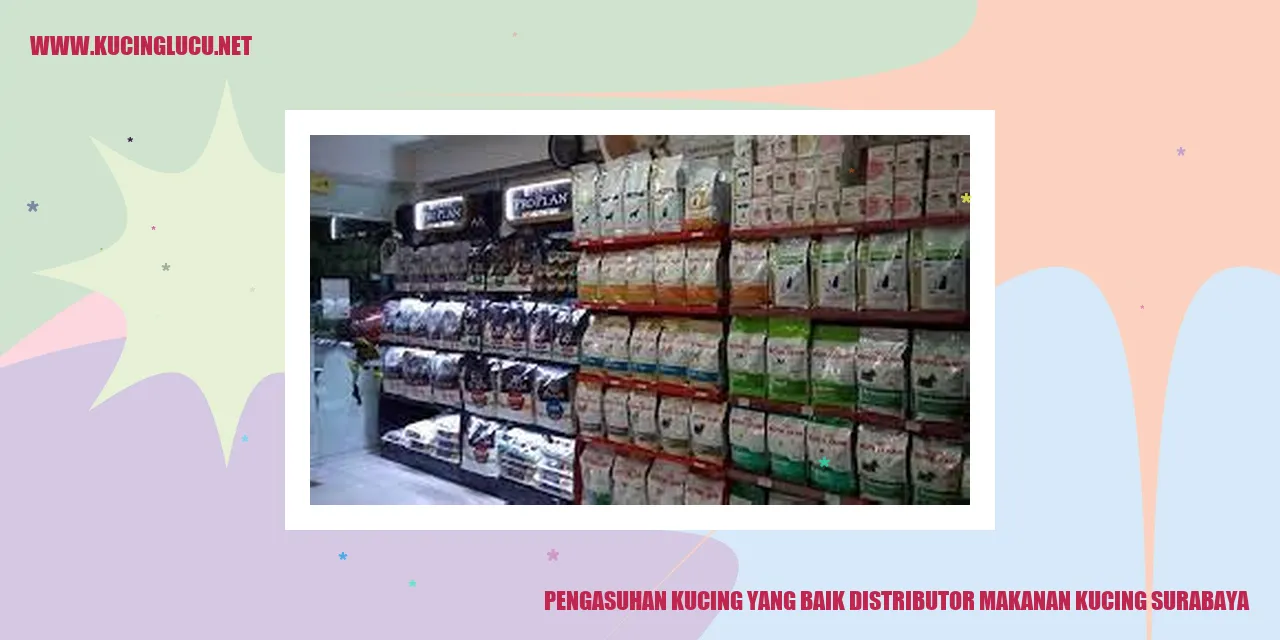 Kucing yang sehat