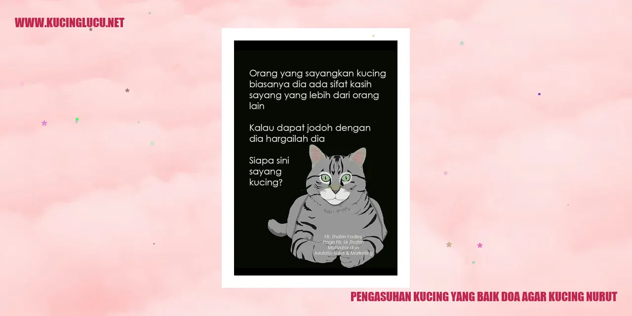 Gambar Kucing