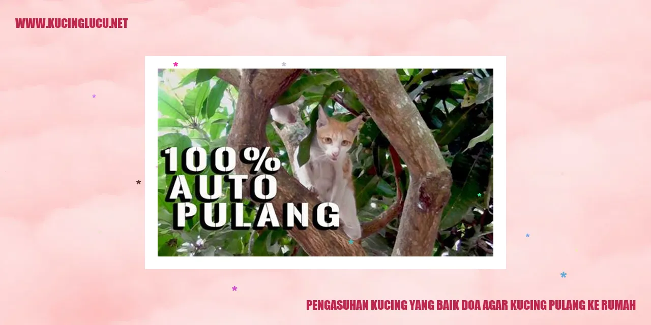 Pengasuhan Kucing yang Baik doa agar kucing pulang ke rumah