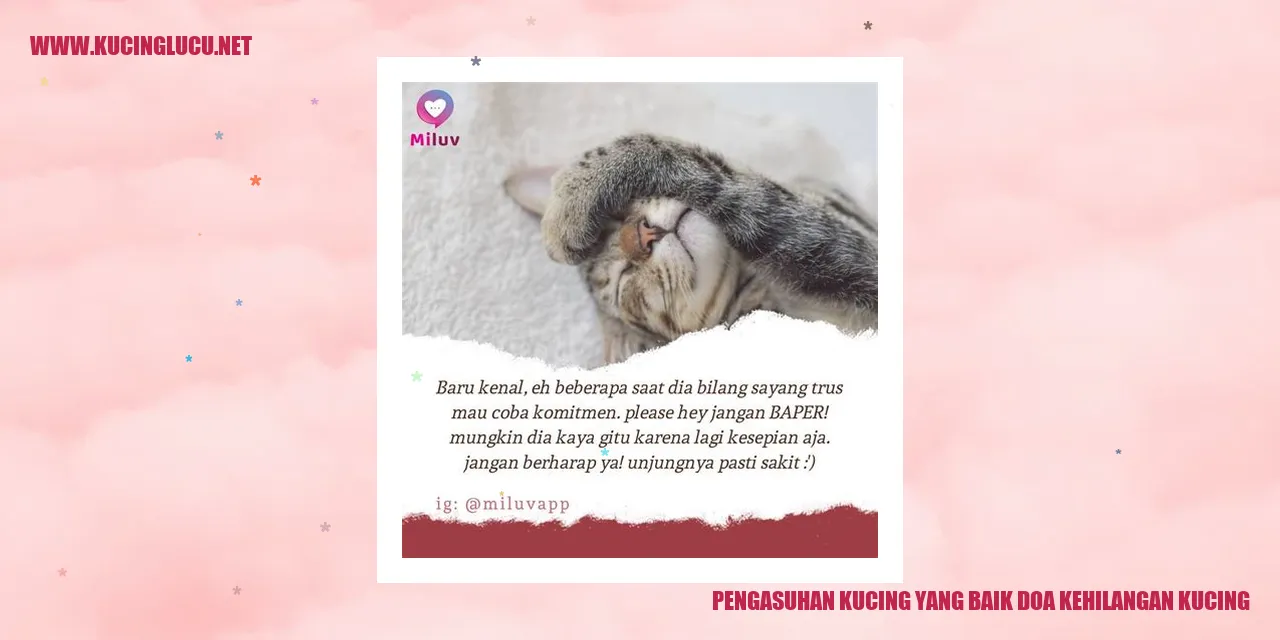 Pengasuhan Kucing