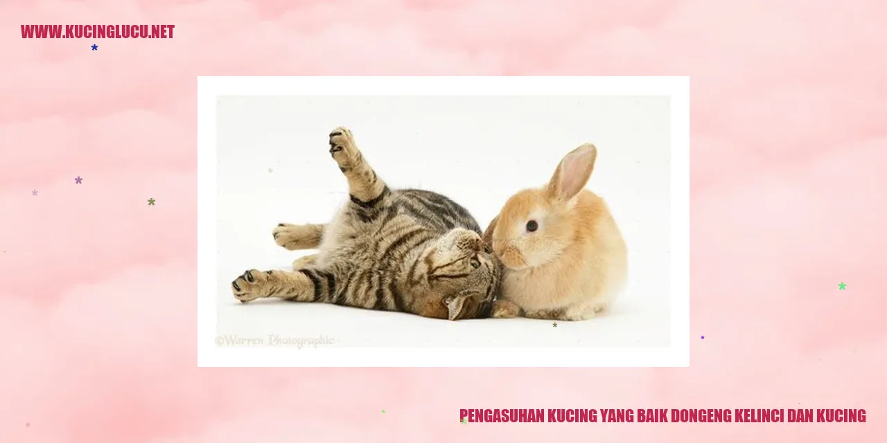 Kesehatan Kucing