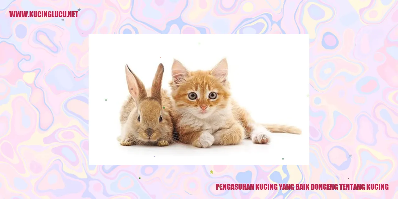 Gambar Kucing Lucu