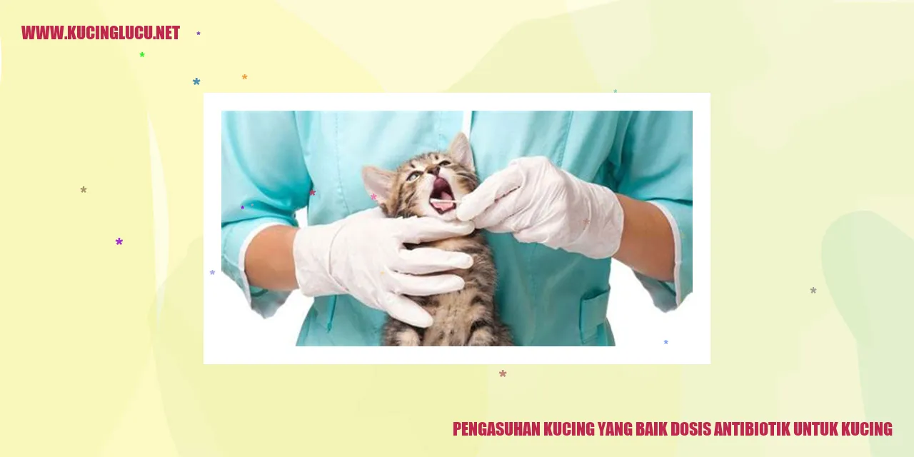Kucing lucu