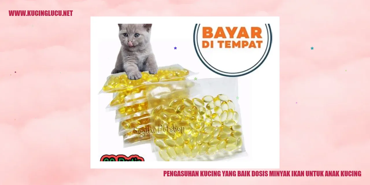 Gambar Kucing