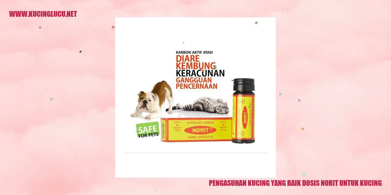 Gambar Kucing