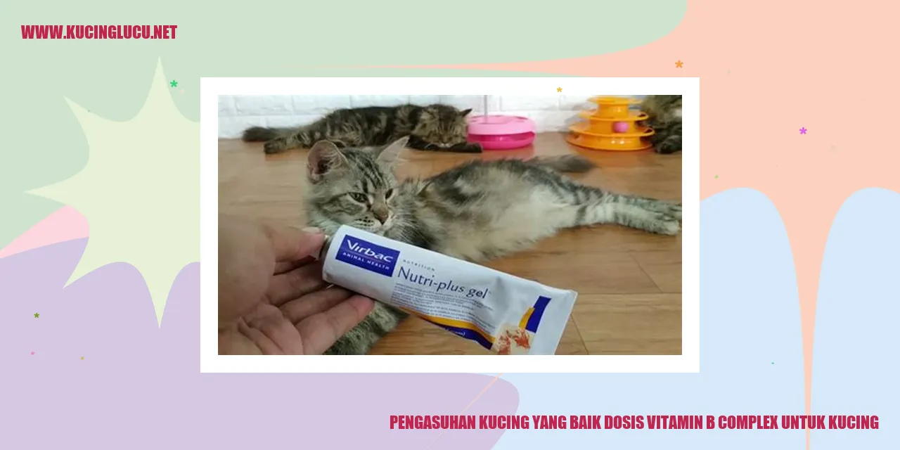 Gambar Kucing