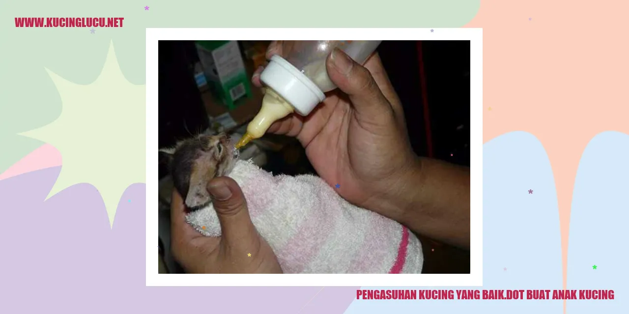Gambar Kucing Lucu