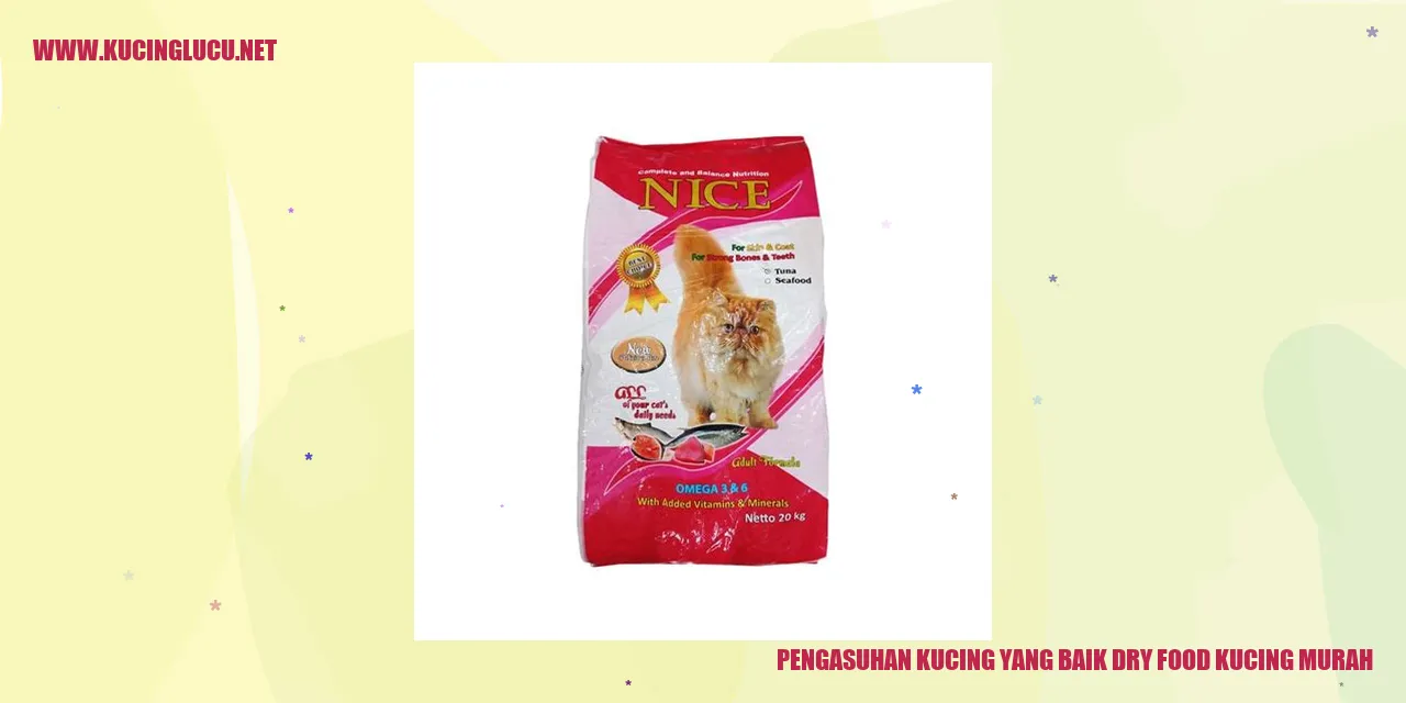 Ilustrasi kucing sedang menikmati dry food