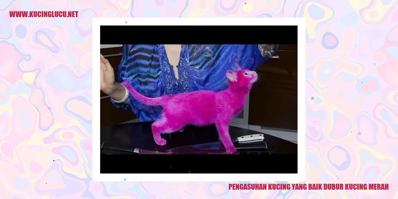 Kucing yang bahagia