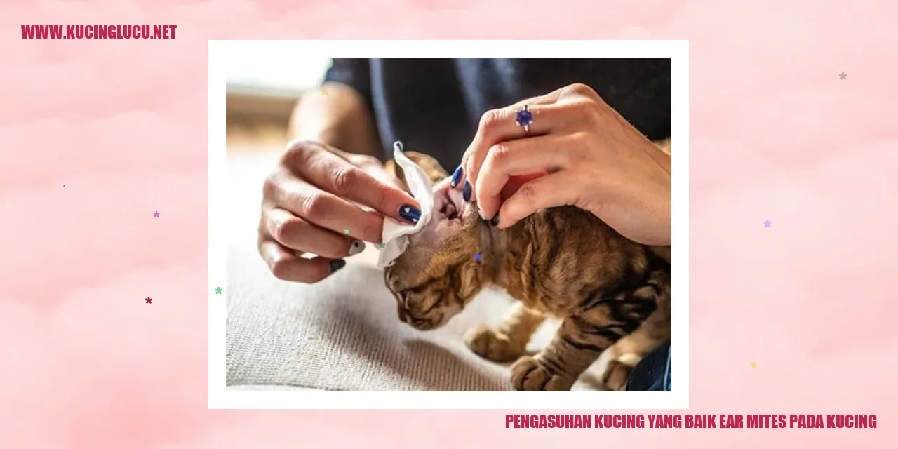 Gambar kucing