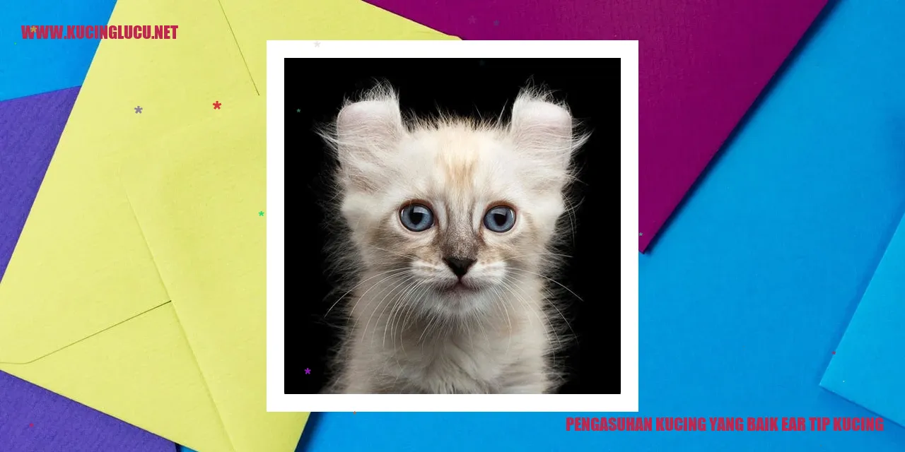 Gambar Kucing dengan Perawatan Telinga yang Terbaik