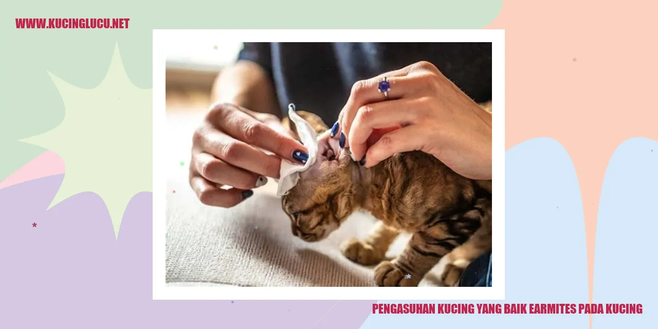 Kesehatan Kucing yang Optimal