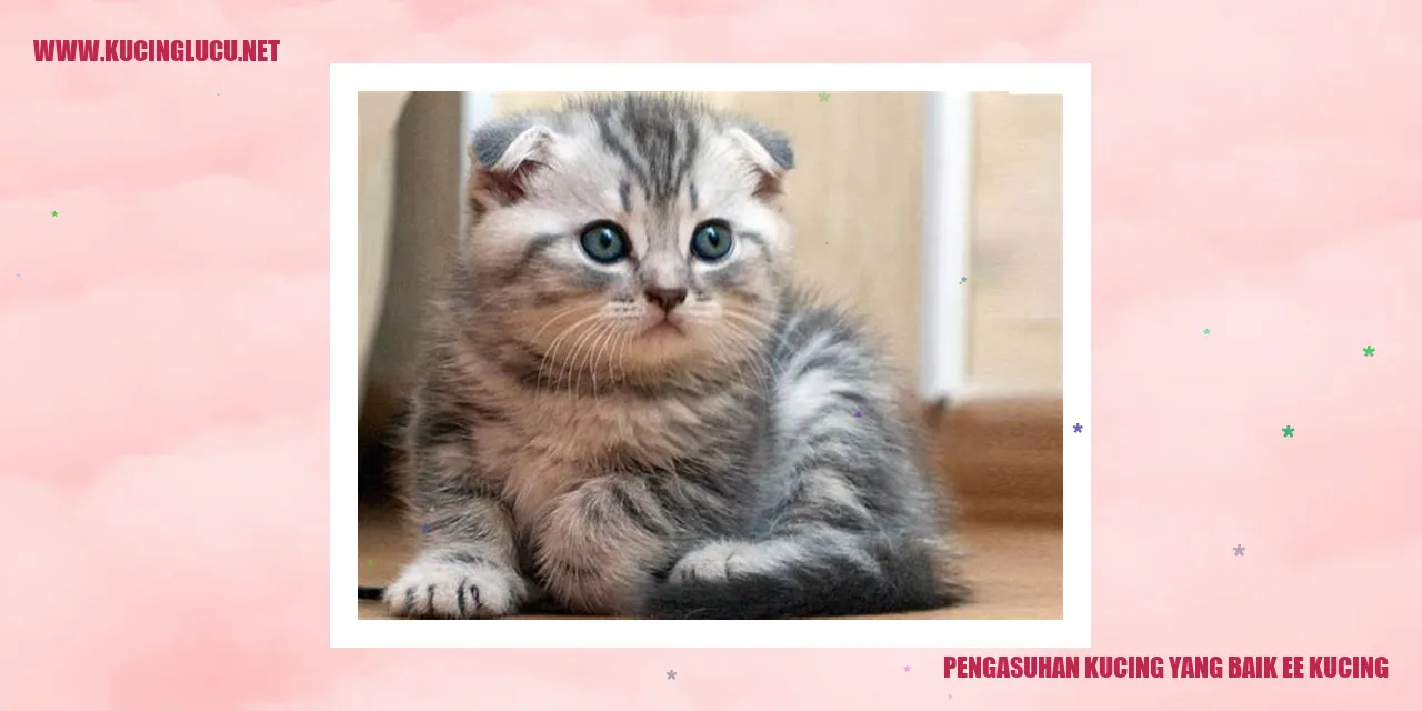 kucing
