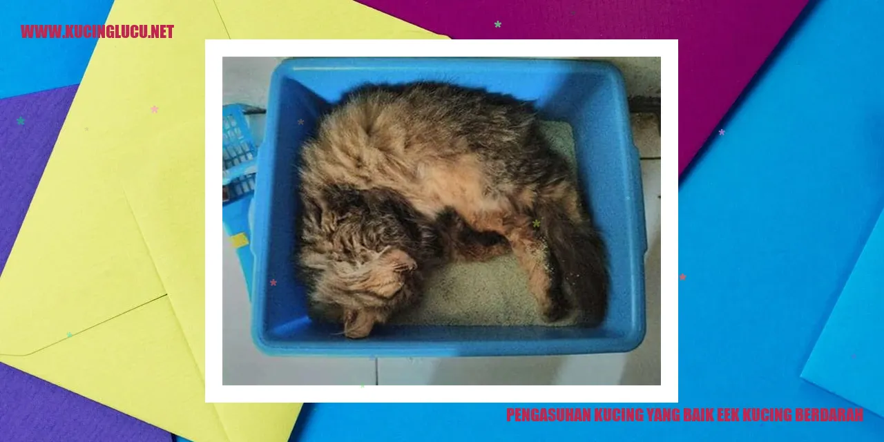 Kucing Berdarah