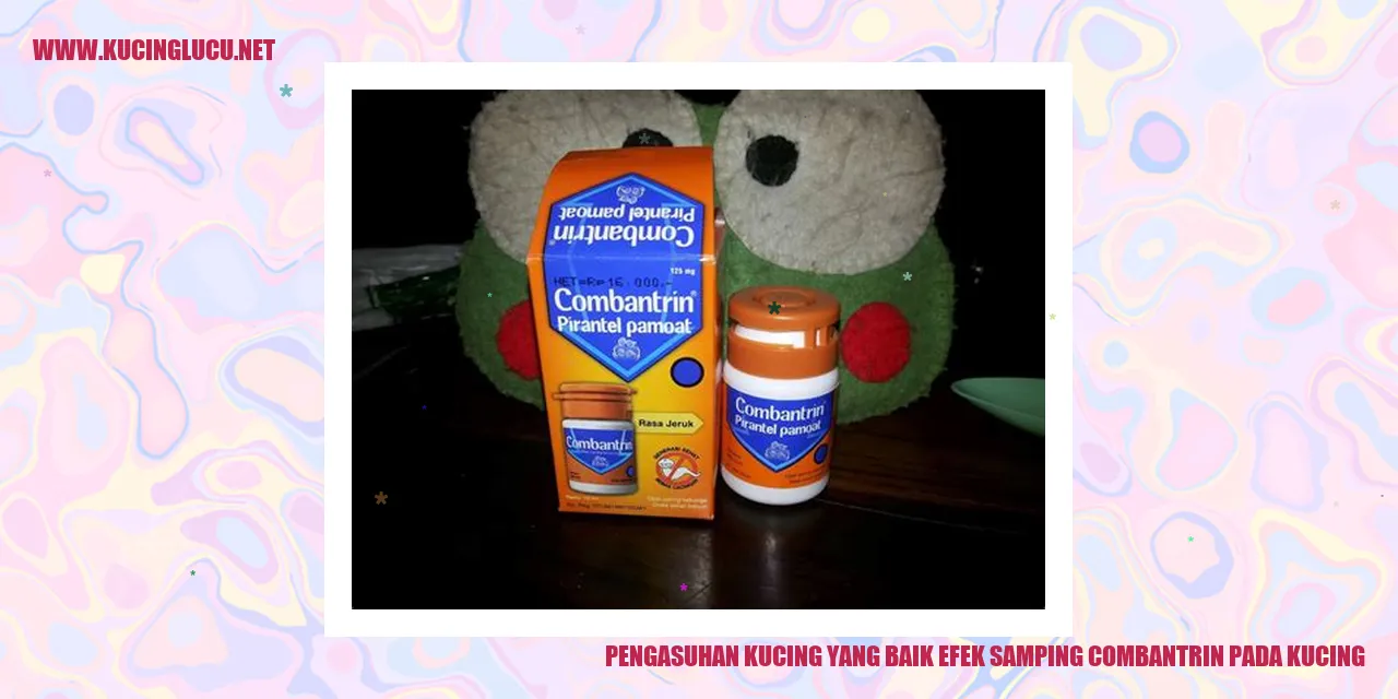 Pengasuhan Kucing yang Baik