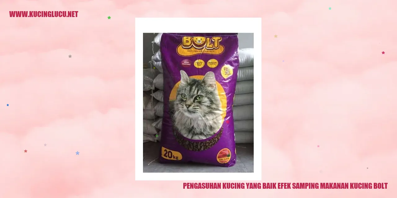Gambar Kucing yang Sehat