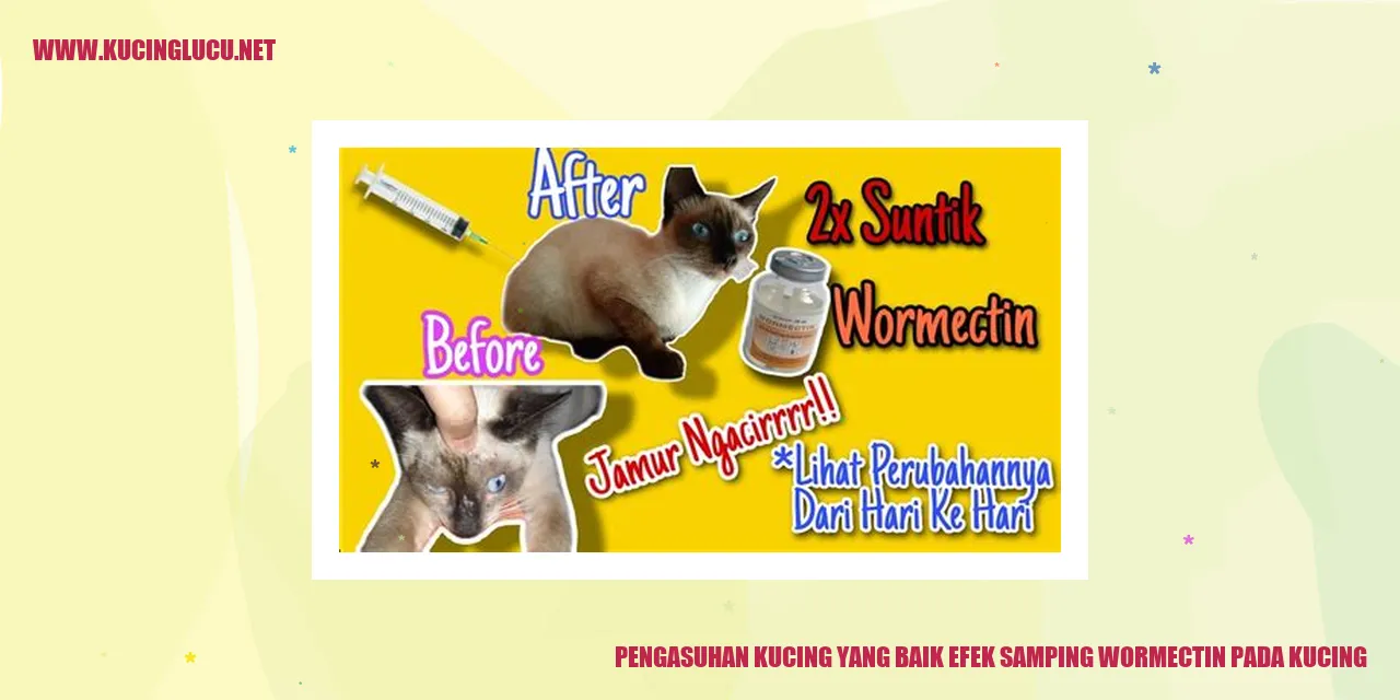 Gambar Kucing Lucu