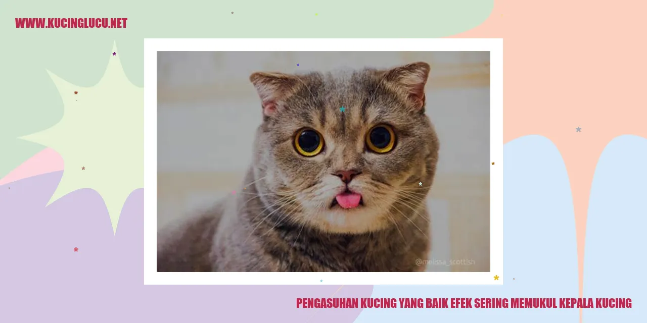 Gambar Kucing