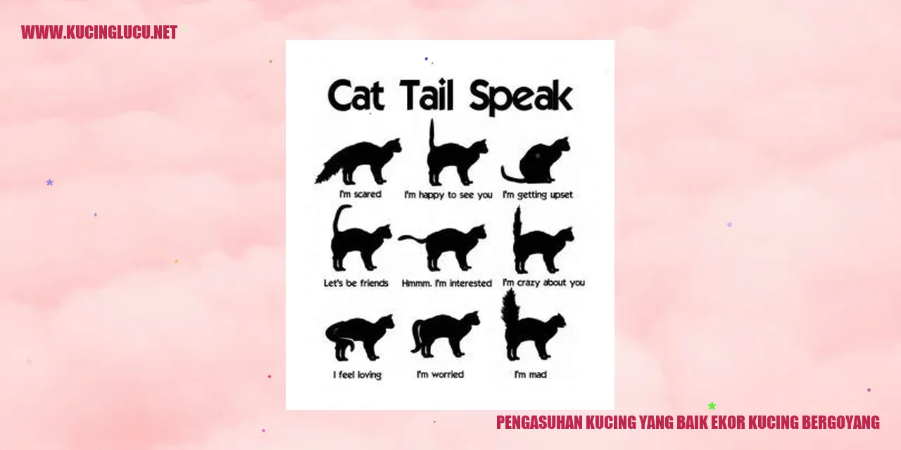 Kucing dengan ekor bergoyang