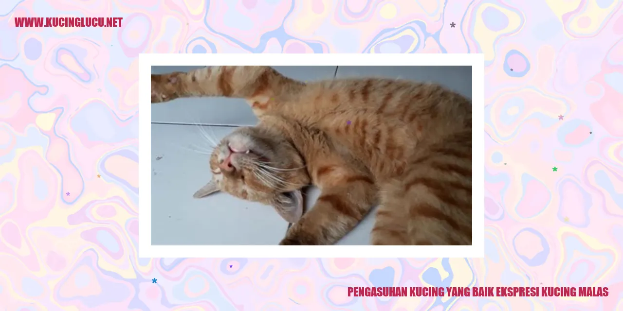 Sikap Malas pada Kucing
