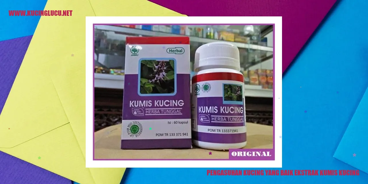 Kucing