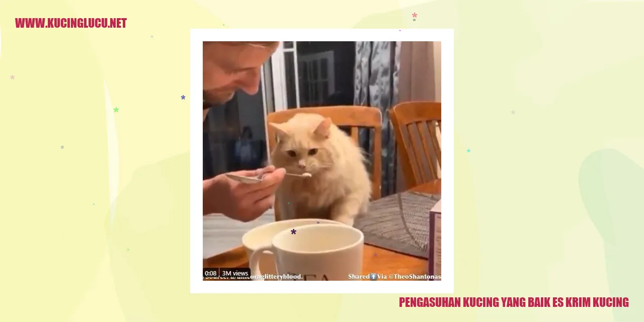 Gambar Kucing yang Baik