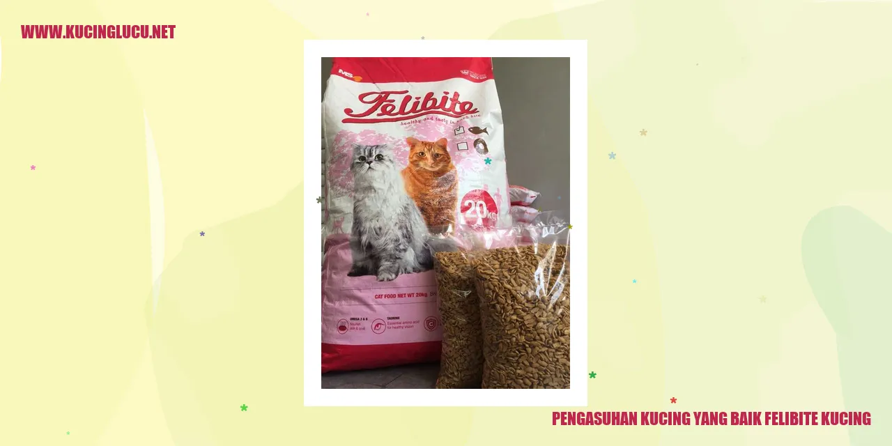 Gambar Kucing