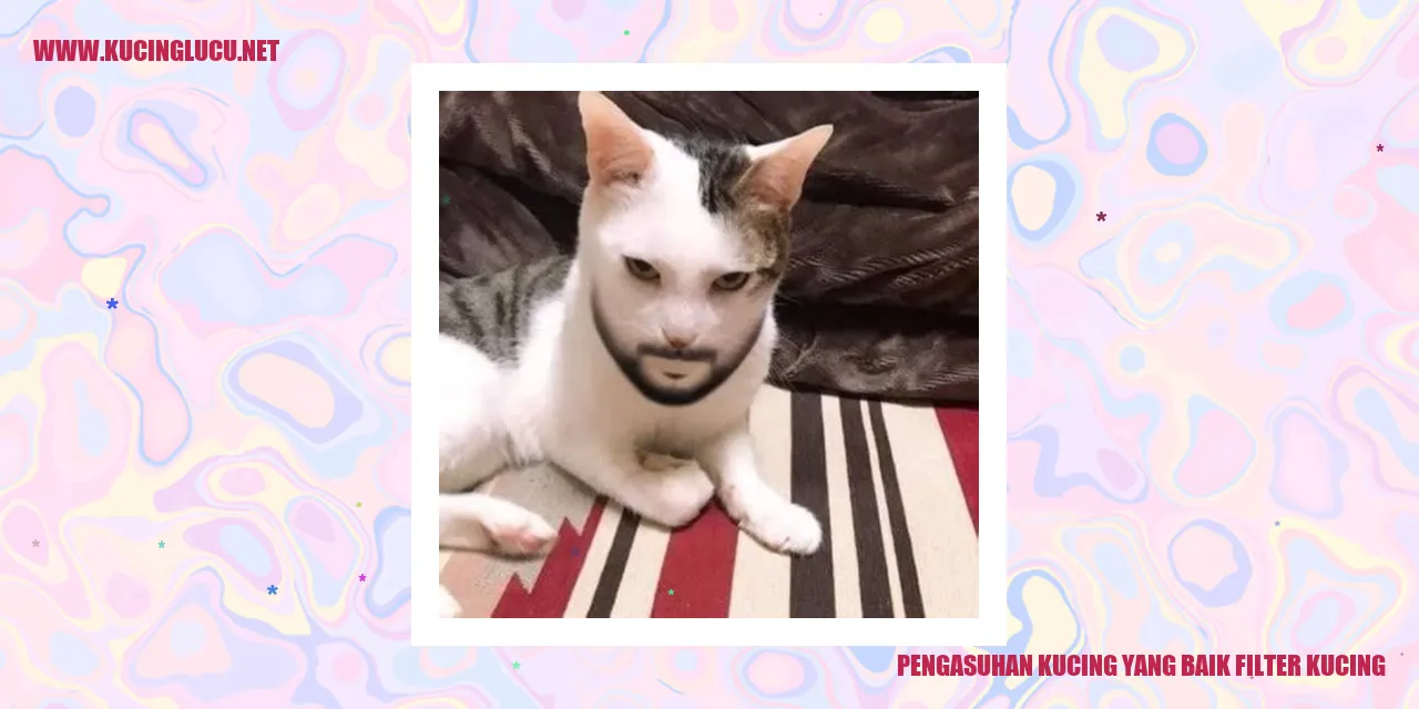 Kucing yang dizolimi
