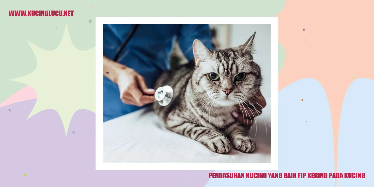 Pengasuhan Kucing yang Baik