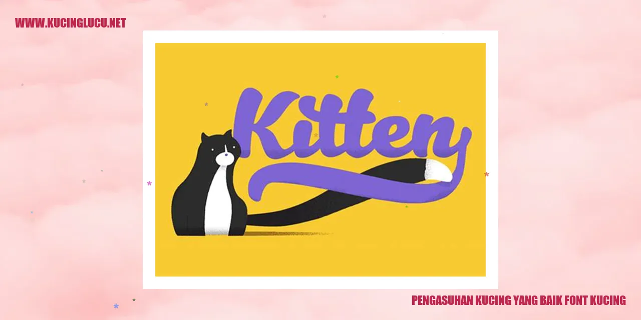 Kucing lucu