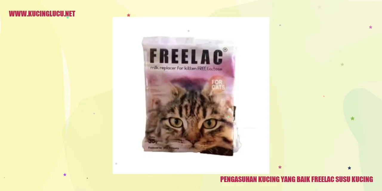 Ilustrasi Kucing Menggemaskan