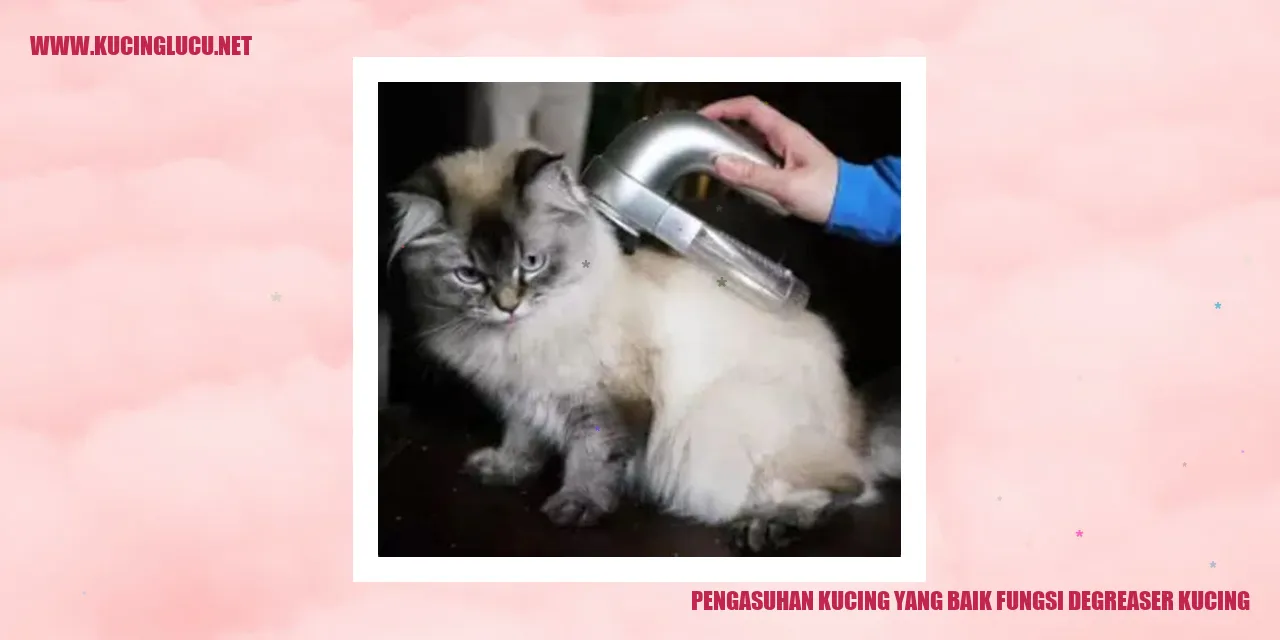 Pengasuhan Kucing yang Baik